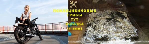 а пвп мука Бородино