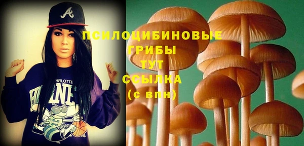 MESCALINE Богородицк