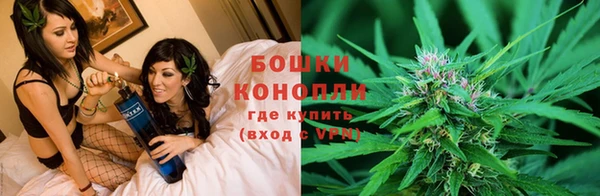 сатива Богородск